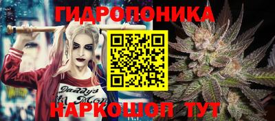 скорость Кингисепп