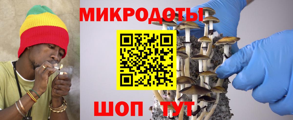 Псилоцибиновые грибы Cubensis Углич